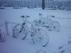 bicicletas nevadas.jpg