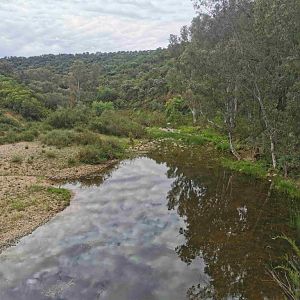 IMG_20210421_104808_compress42