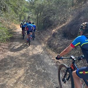 38A79C81-81E8-4792-ADA0-9DC3B3DEE3BD