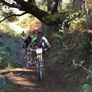 14882197_333204770375221_8394492101167195879_o