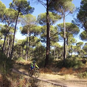 Ruta Social Hispabikers_ Los Pinares / Otoño 2017